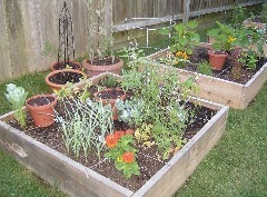 De tuin
